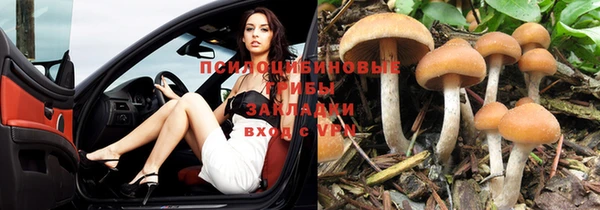 гидра Балахна