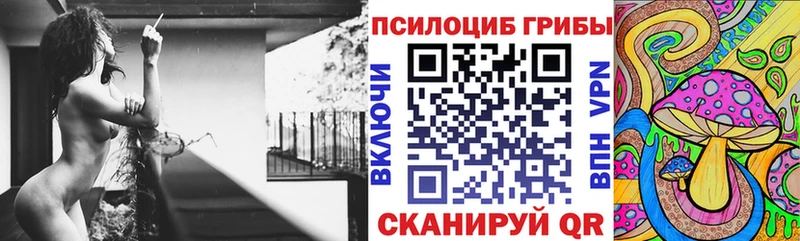дарнет шоп  Тотьма  Галлюциногенные грибы Cubensis 
